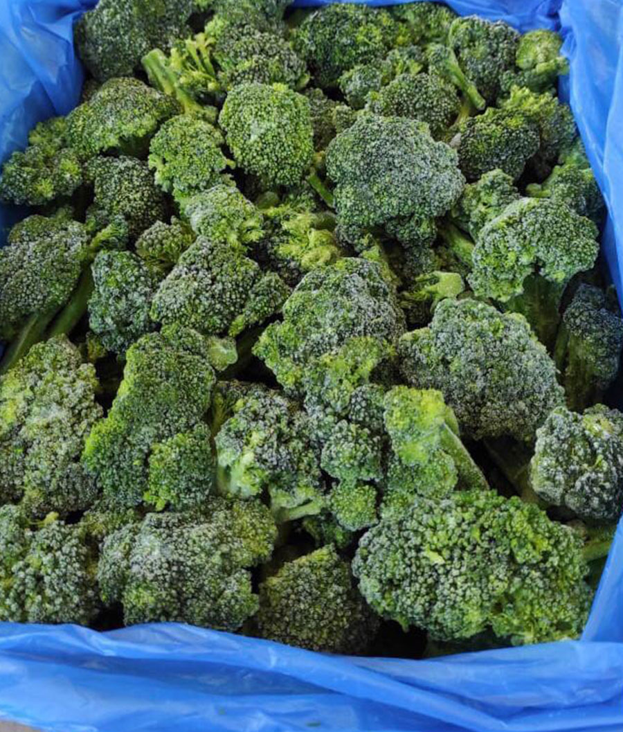 Frozen Broccoli